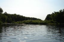 Река Быстрая Сосна