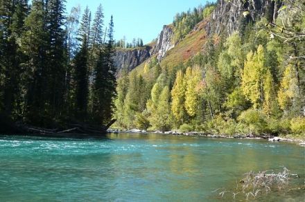 Рыбалка на Сумульте, Алтай