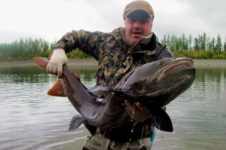 Охота на большого тайменя на реке Мойеро