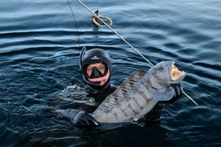 Рыбалка и подводная охота в Норвегии