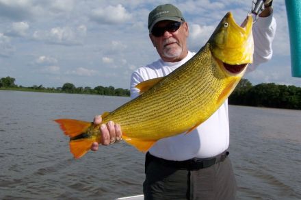 Рыбалка в Аргентине на золотого дорадо (Dorado Cua Lodge)
