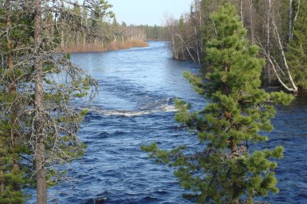 База «Серебро Паны»