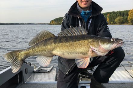 Рыбалка с профессиональным гидом в Подмосковье (Иваньковское водохранилище)