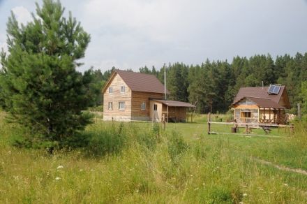 Лесная благодать