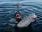 Рыбалка и подводная охота в Норвегии